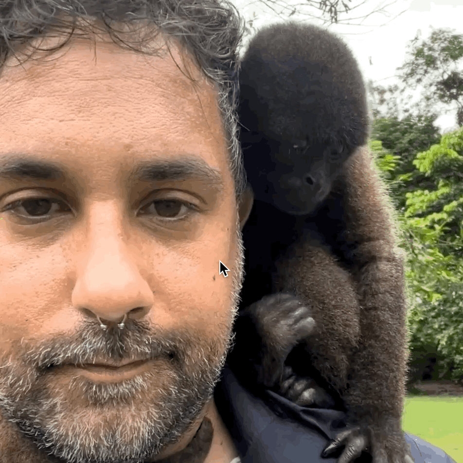 Monkey Sanctuary at the Amazon (Peru)
